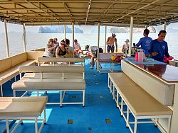 Embark on a captivating afternoon cruise with Simba Sea Trips, starting and concluding at the luxurious Soho Pool Club