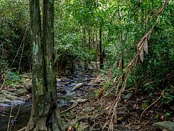 Beyond the Beaches, Discover Phuket's Hidden Waterfalls