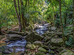 Beyond the Beaches, Discover Phuket's Hidden Waterfalls