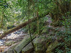 Beyond the Beaches, Discover Phuket's Hidden Waterfalls