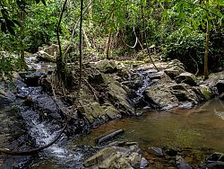 Beyond the Beaches, Discover Phuket's Hidden Waterfalls