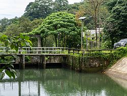 Beyond the Beaches, Discover Phuket's Hidden Waterfalls