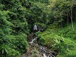 Beyond the Beaches, Discover Phuket's Hidden Waterfalls