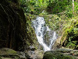 Beyond the Beaches, Discover Phuket's Hidden Waterfalls