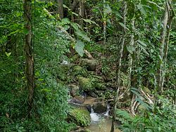 Beyond the Beaches, Discover Phuket's Hidden Waterfalls