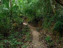 Beyond the Beaches, Discover Phuket's Hidden Waterfalls