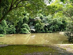 Beyond the Beaches, Discover Phuket's Hidden Waterfalls