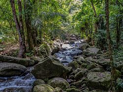 Beyond the Beaches, Discover Phuket's Hidden Waterfalls