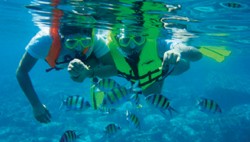 Snorkelling