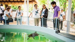 Mai Khao Marine Turtle Foundation