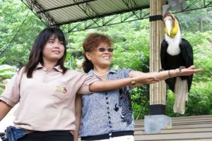 Phuket Bird Park