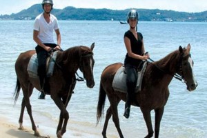 Phuket Riding Club