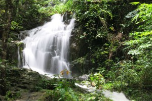 Ton Sai and Bang Pae Waterfalls