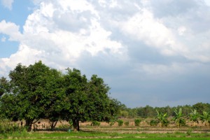 Untouched Thailand