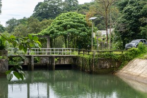 Beyond the Beaches, Discover Phuket's Hidden Waterfalls