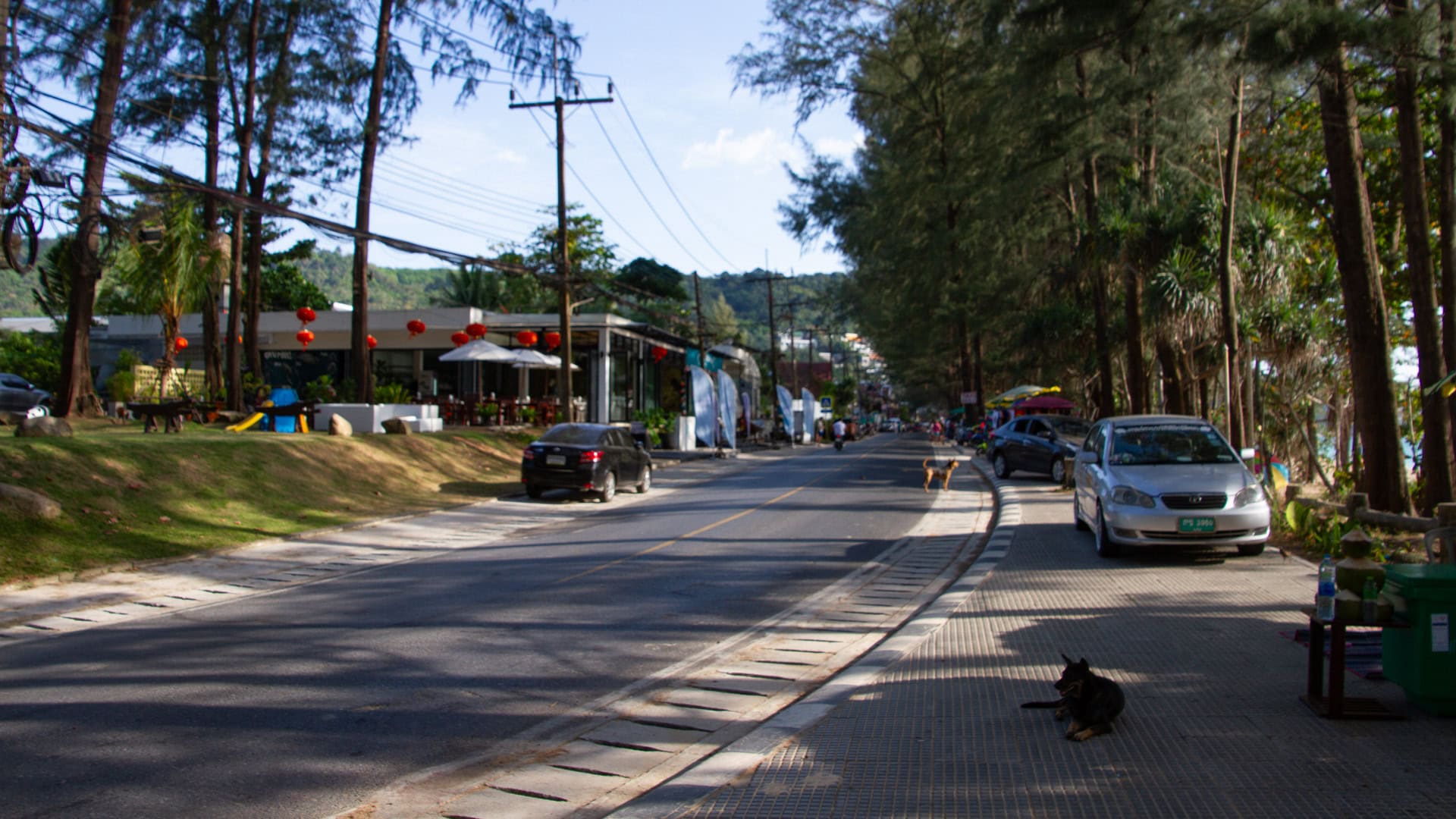 Naithon Beach Phuket beach road with cafes, parked cars and tall casuarina trees forming a shaded corridor behind the sand.