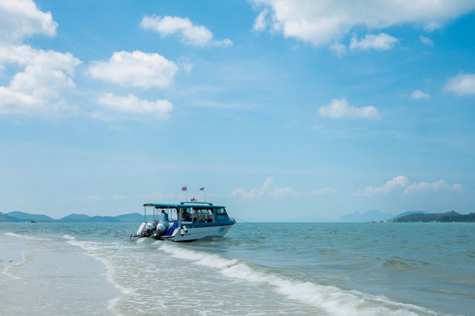 Simba Sea Trips gallery image 4