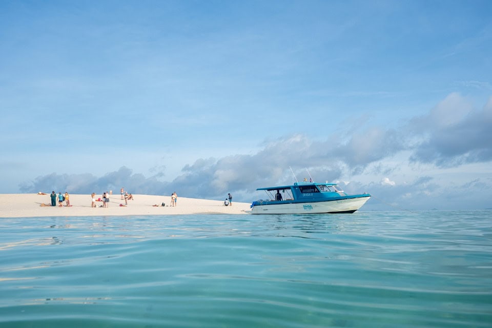 Simba Sea Trips gallery image 21